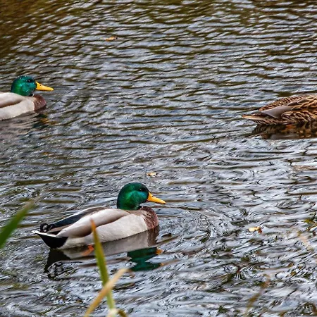 22 Person In Vaeggerlose Casa vacanze *